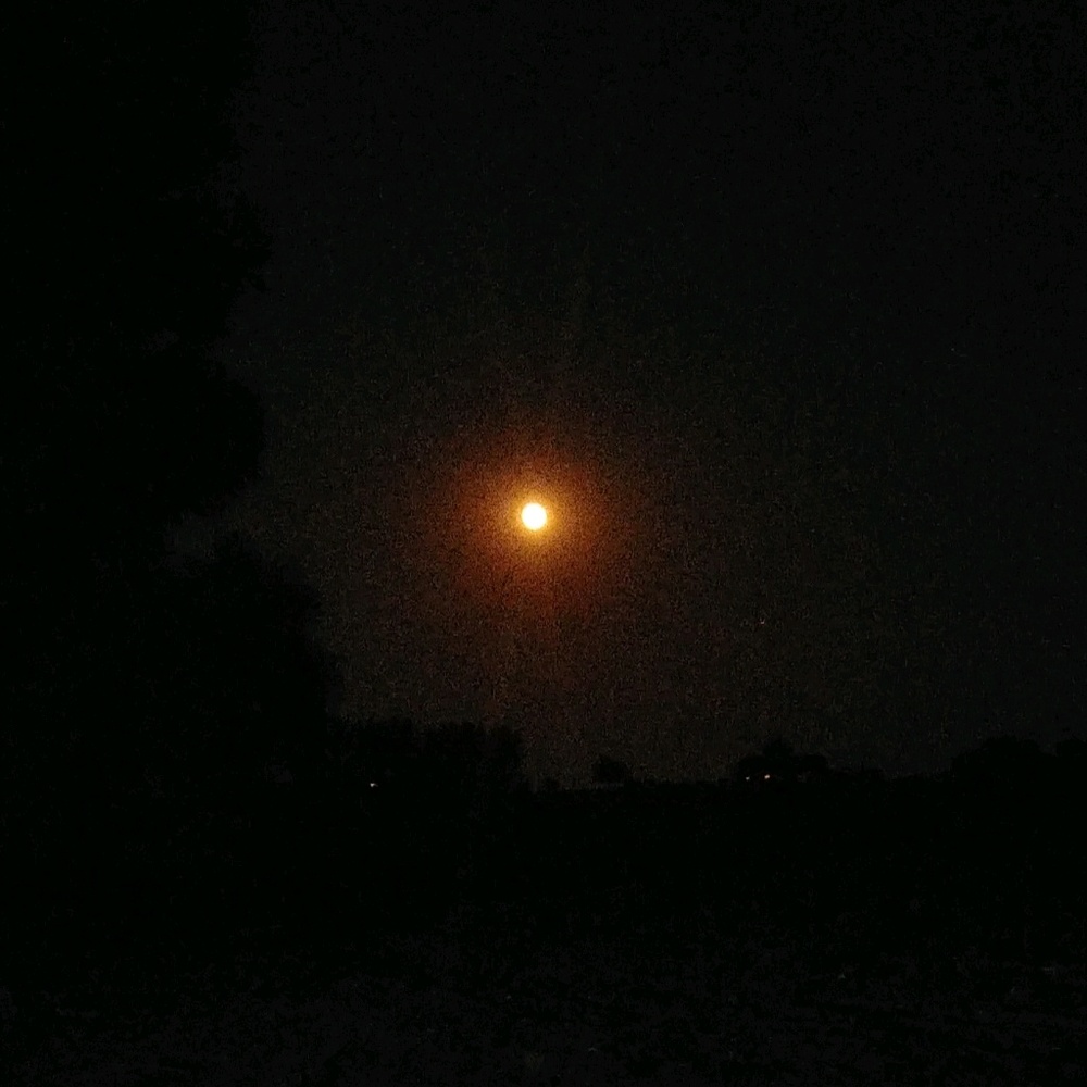 Meet your Posher, Mayelo